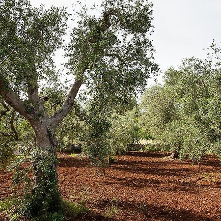 Villetta Da Zio Marcello Ostuni Eksteriør bilde