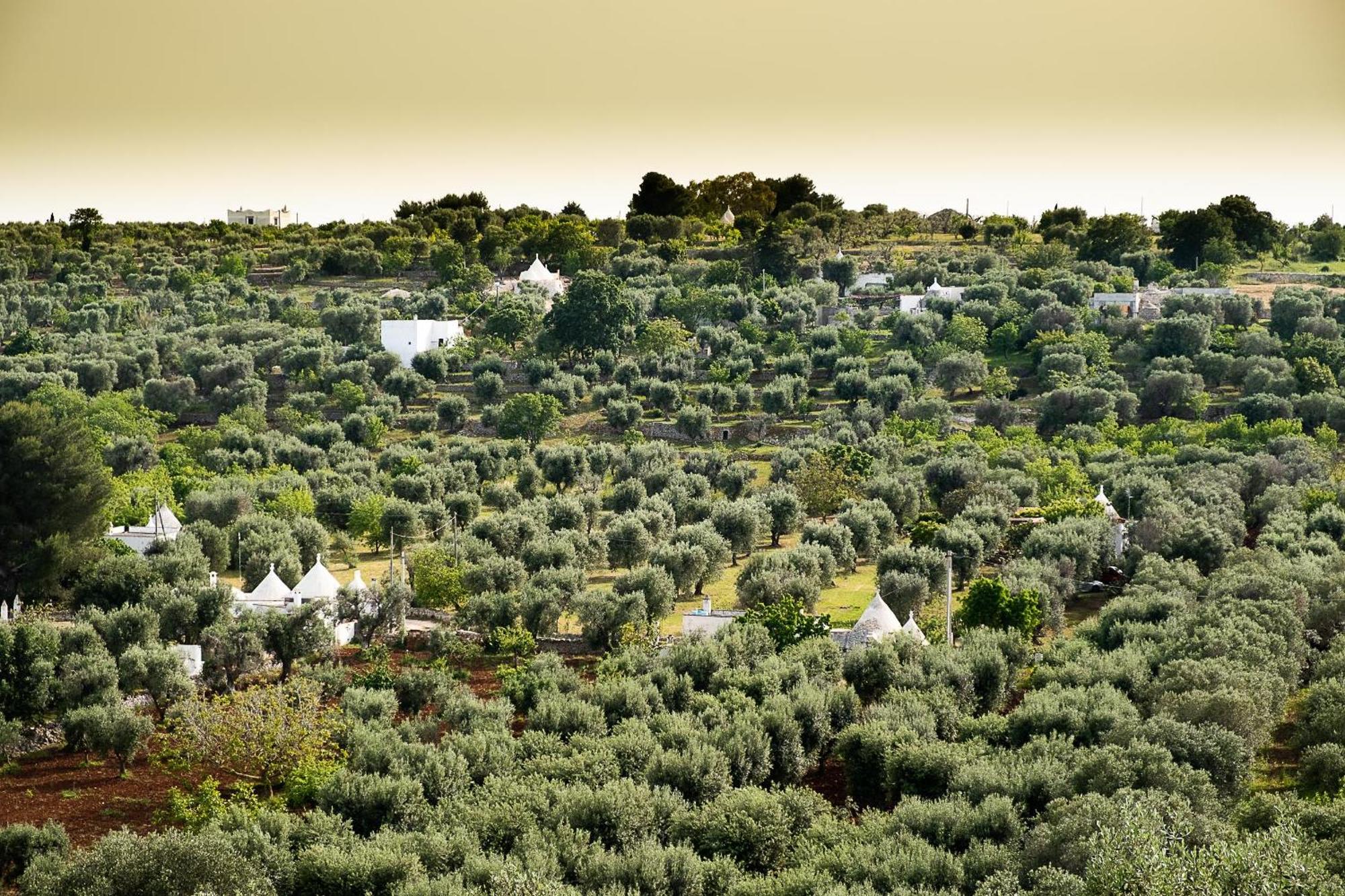 Villetta Da Zio Marcello Ostuni Eksteriør bilde